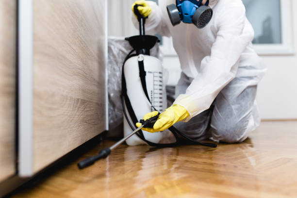 Best Commercial Pest Control Services  in El Monte, CA