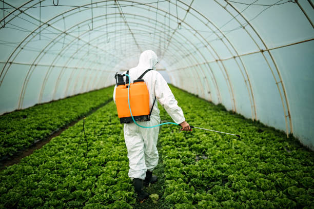 Best Ant Control Services  in El Monte, CA