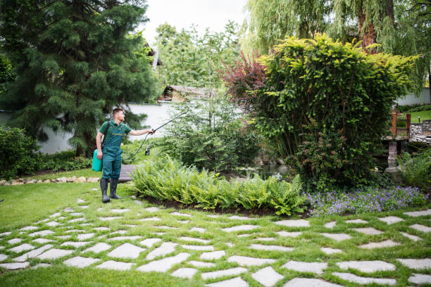 Best Mosquito Control Services  in El Monte, CA