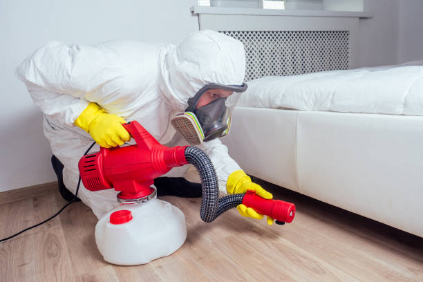 Pest Prevention Services in El Monte, CA