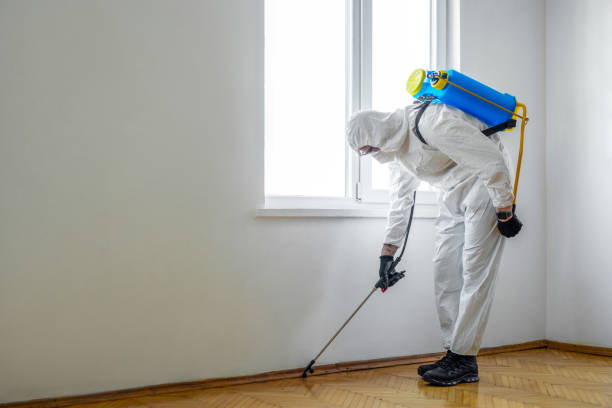 Best Wildlife Control Services  in El Monte, CA