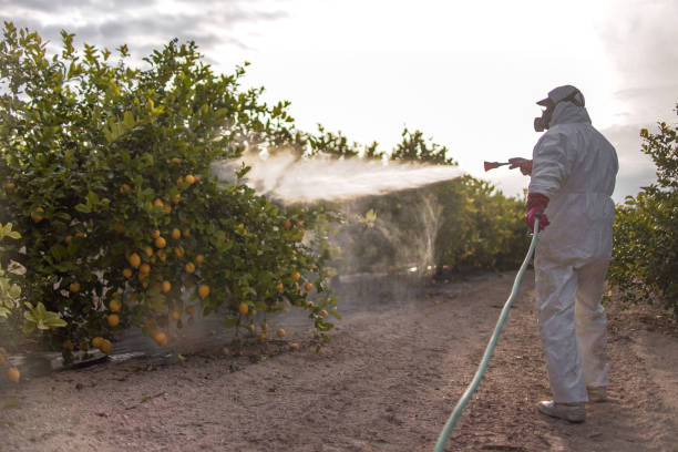 Best Bird Control  in El Monte, CA