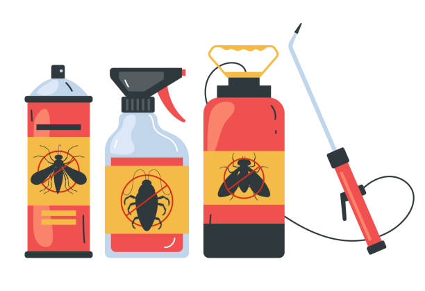 Best Pest Inspection Near Me  in El Monte, CA