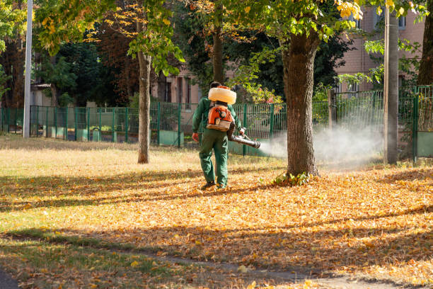 Best Emergency Pest Control  in El Monte, CA
